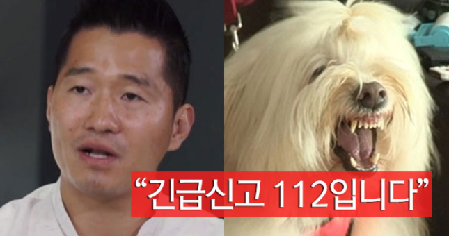 김인우신고 강형욱 개통령 긴급신고 112 사나운개 당황 포기 짤방 짤