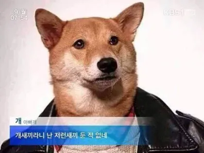 호부호자 거부하는 아빠