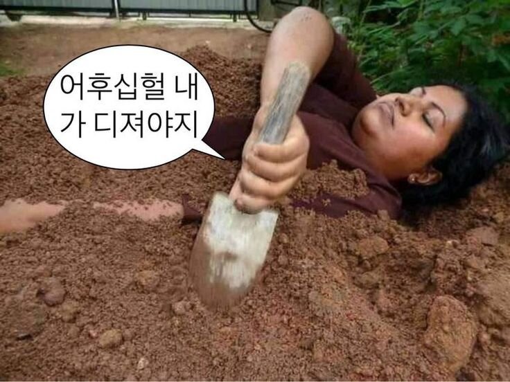 어후 내가 디져야지