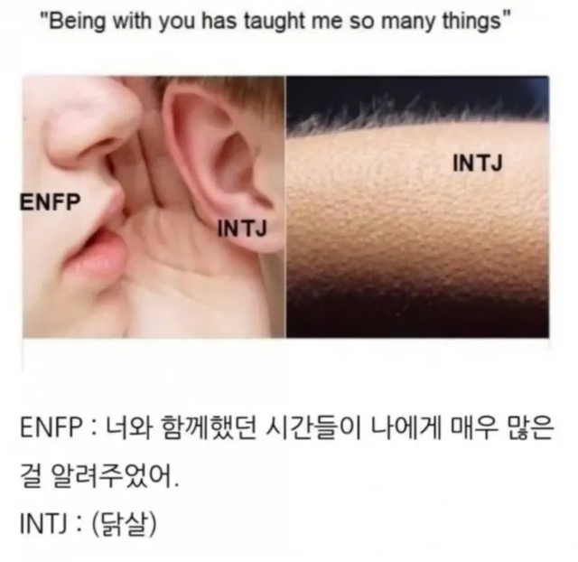 ENFP INTJ #MBTI 성격 유형 취향 mbti짤 mbti짤방 mbti타입