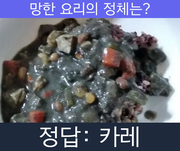 카레 망한요리 망한음식 실패요리 음식 요리