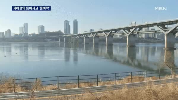 한강 고양이 뉴스 영상 서울 뚝섬한강공원 꽁꽁 얼어붙은 한강 위로