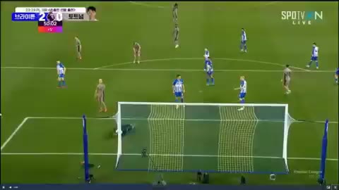 33 축구 토트넘 브라이튼 벤데이비스 골대 그물 해탈 처참 멘붕