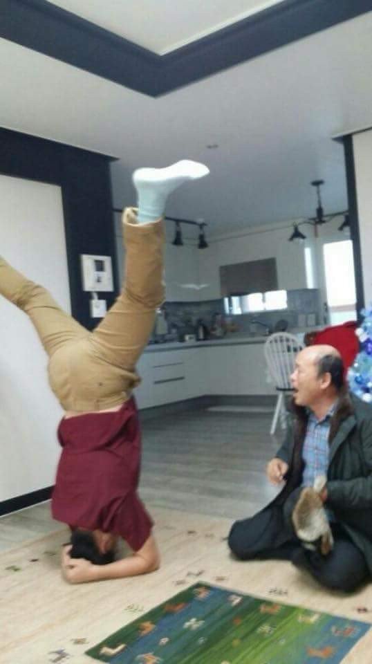그랜절 실사판 당황 충격 물구나무 세배 명절 웃긴짤