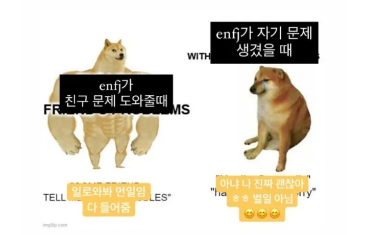 ENFJ MBTI 엔프제 성격 특징 도지 밈 친구 고민 위로 온도차