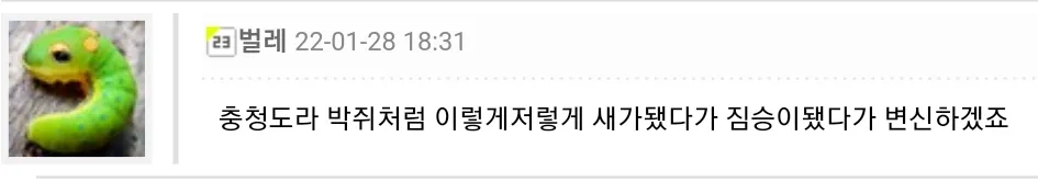 벌레 충청도 애벌레 박쥐 짐승 변신 캐터피 웃긴댓글 드립