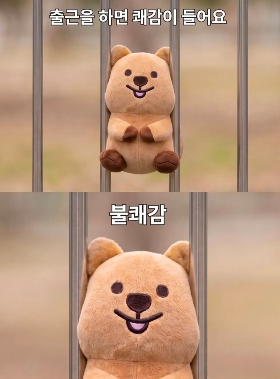 쿼카 출근 불쾌감 직장인 유머 고통 반전
