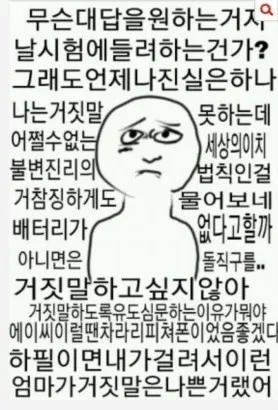 거짓말