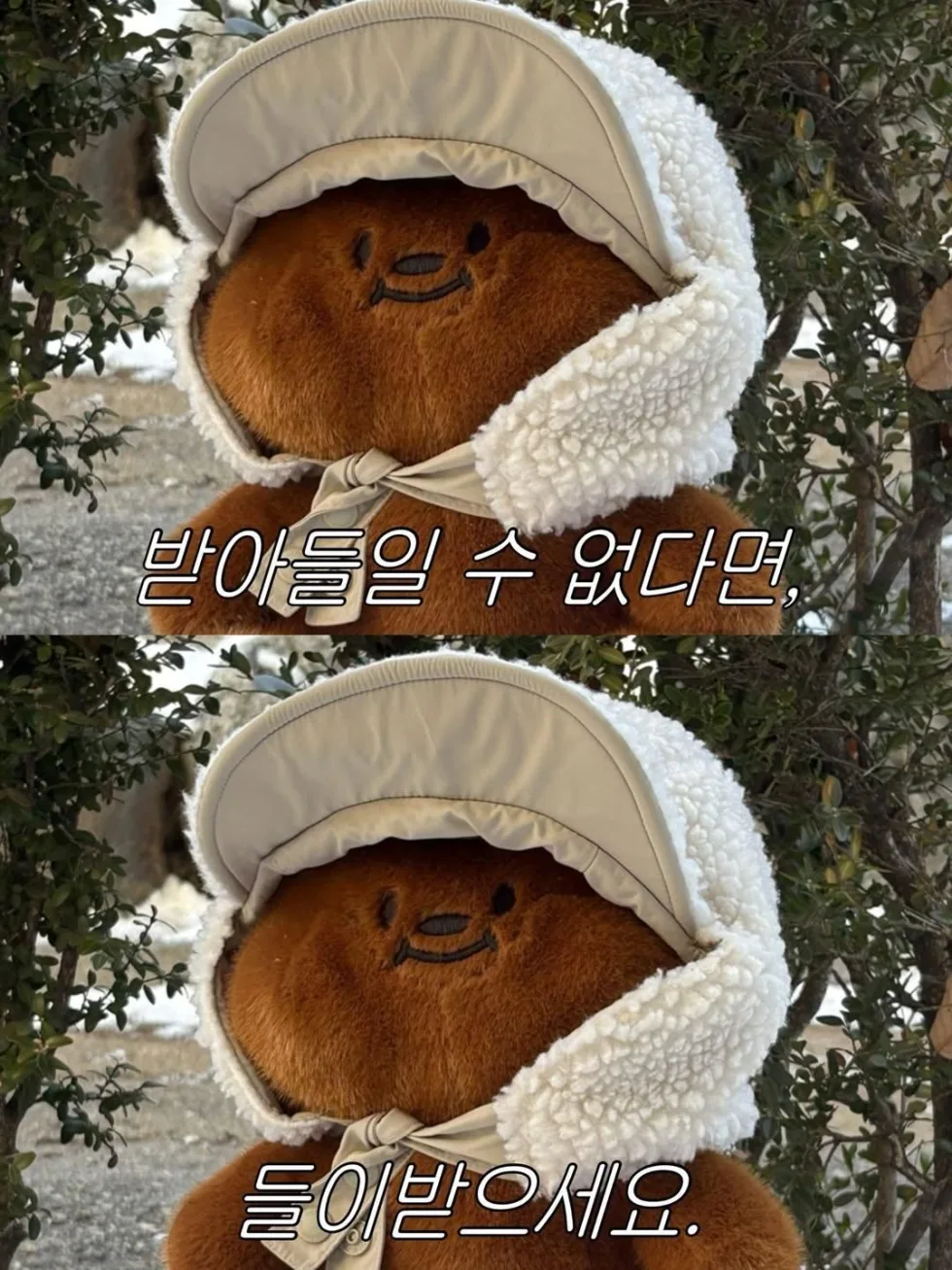 짤방 웃긴짤 유머