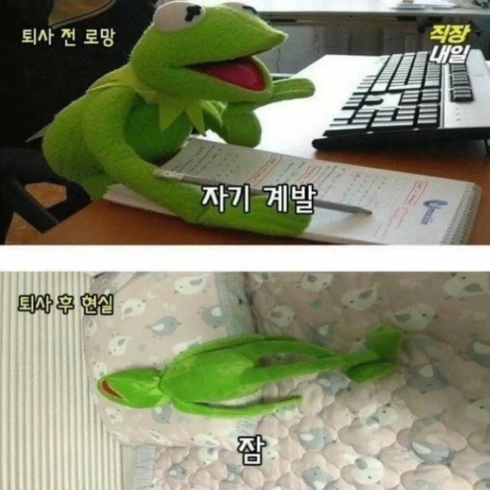 현실 입사 자기개발 자기계발