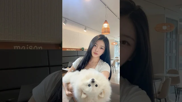 소환술 챌린지 — 엄마가 강아지를 소환 · 오드베리