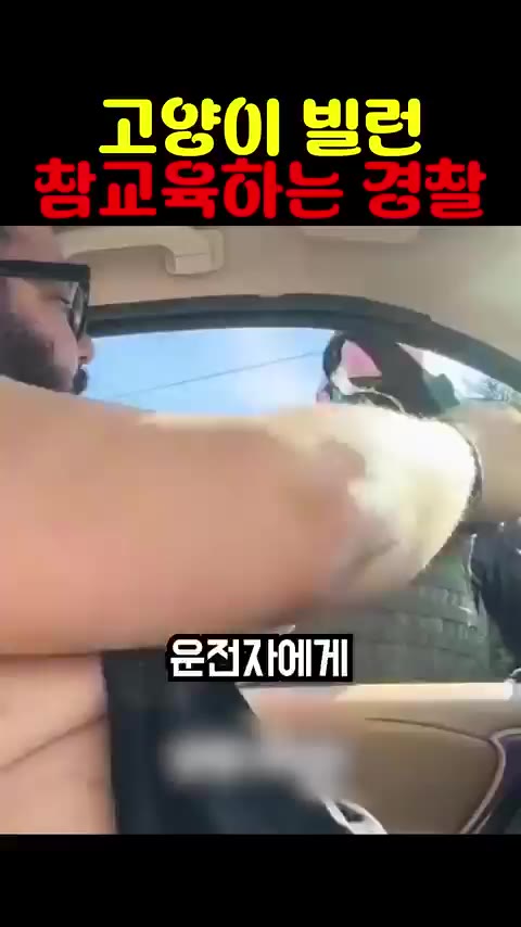 침착하게 미친놈을 대처하는 미국경찰.
