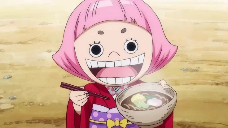 토코 원피스 애니메이션 일본 One Piece