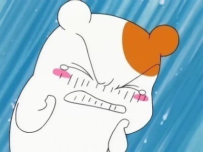 국쥐 에비츄 우는 짤 억울 분노 화남 부들부들 슬픔 햄스터
