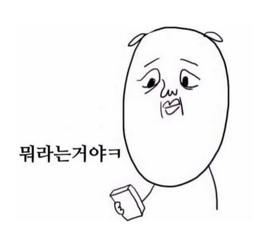 뭐라는거야