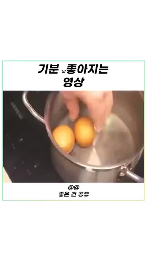 기분 좋아지는 영상