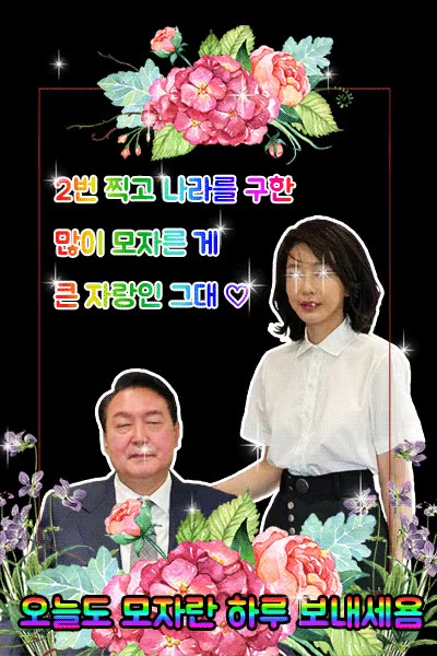 틀딱전용 윤석열 김건희 정치 풍자 틀딱짤 카톡짤 꽃배경 2번 비꼬기 조롱