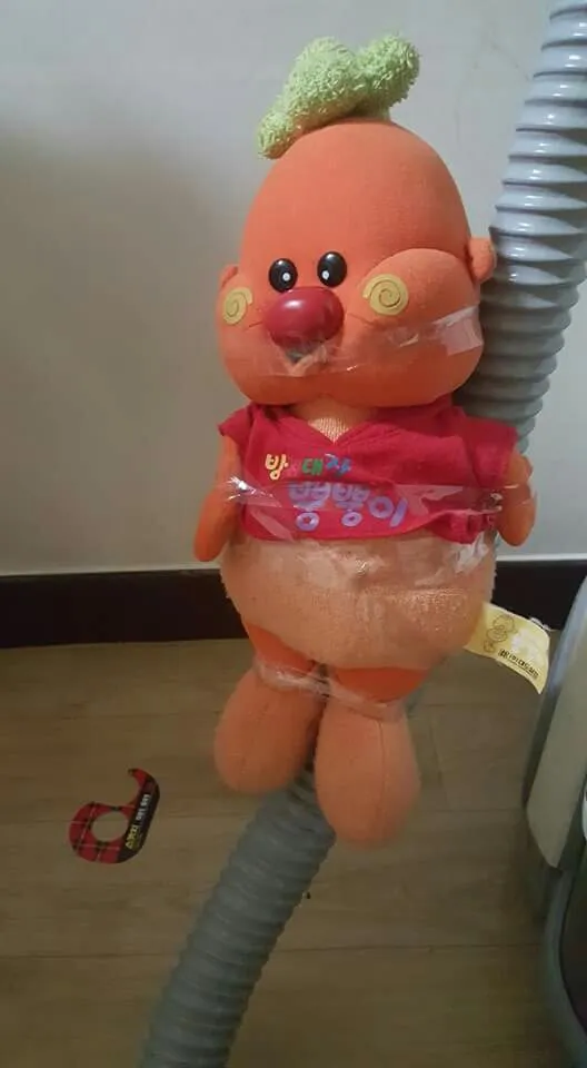 오늘의짤방