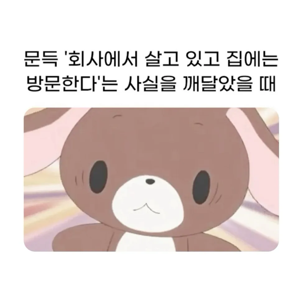 0ㅅ0