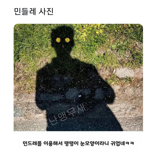 민들레를 이용해서 땡땡이 눈모양이라니 귀엽네