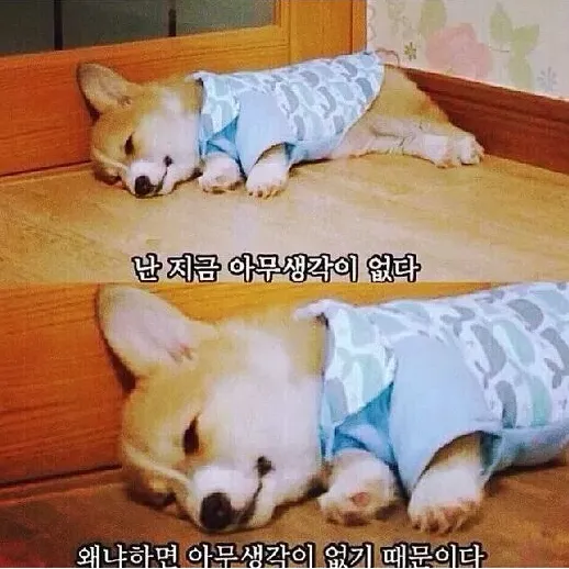 생각이없다