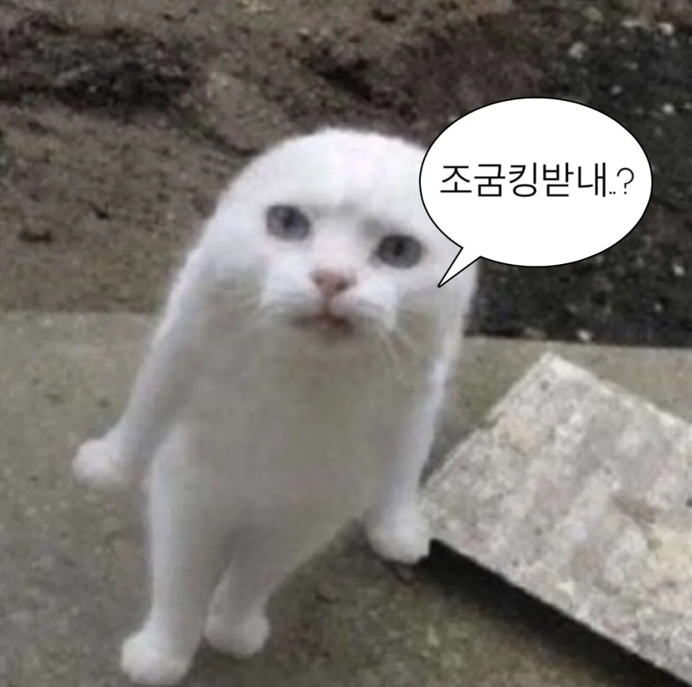 저장할 댓글 짤방 웃긴짤 유머