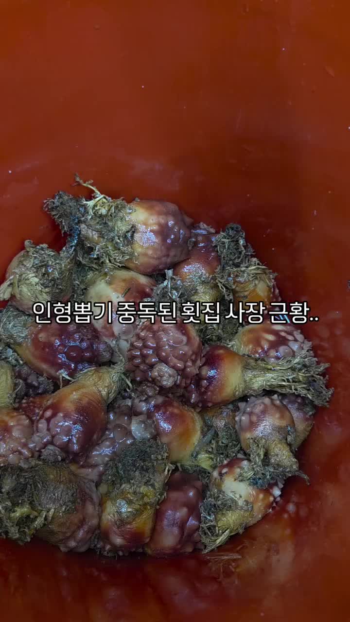 인형뽑기 중독된 횟집 사장 근황