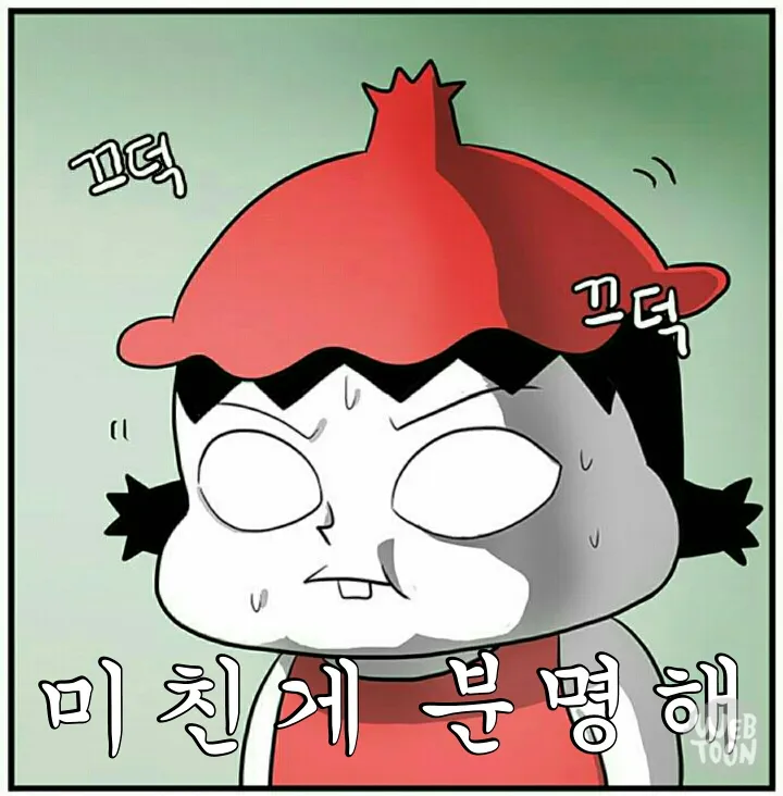 미친게 분명해