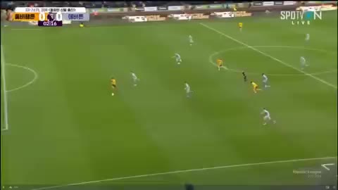ㅁㄴㅇ 황희찬 울버햄튼 에버튼 프리미어리그 축구 골장면 찬스 기회 환호 하이라이트