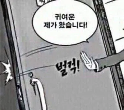 귀여운 제가 왔습니다