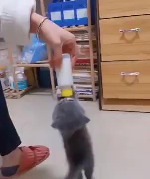 냥짤