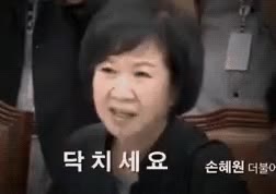 닥치세요 손혜원 이은재