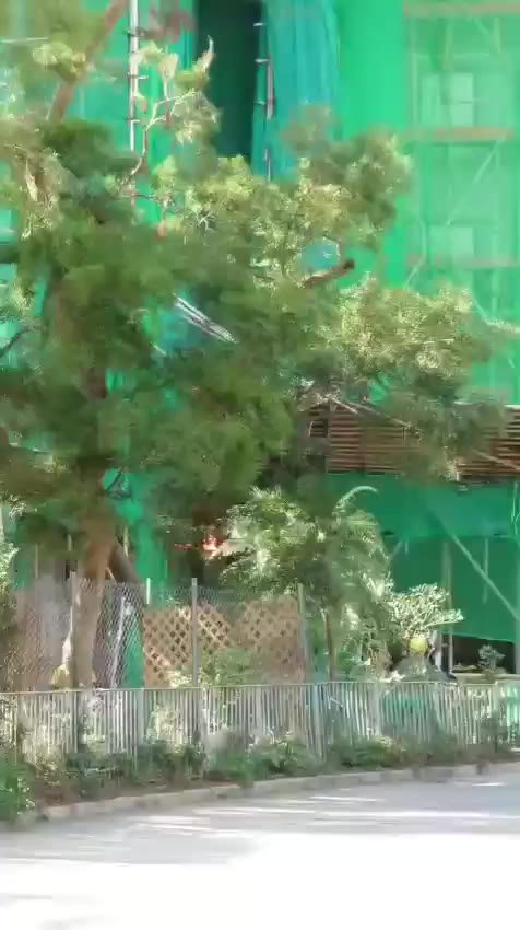 홍콩 최초발화