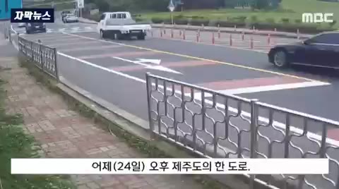 제주도 패러글라이딩
