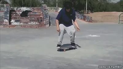 짤 짤방 모음
