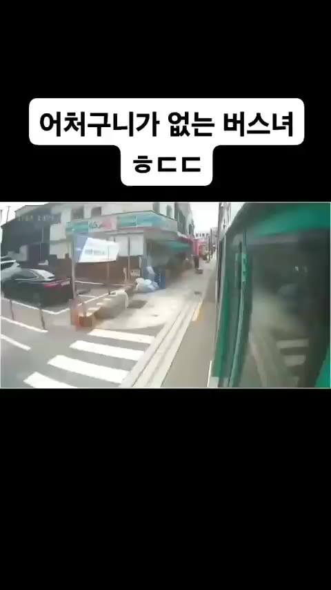 인생 조질번한 버스기사