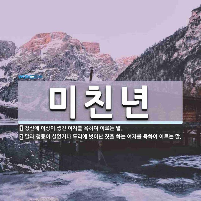 미친년
