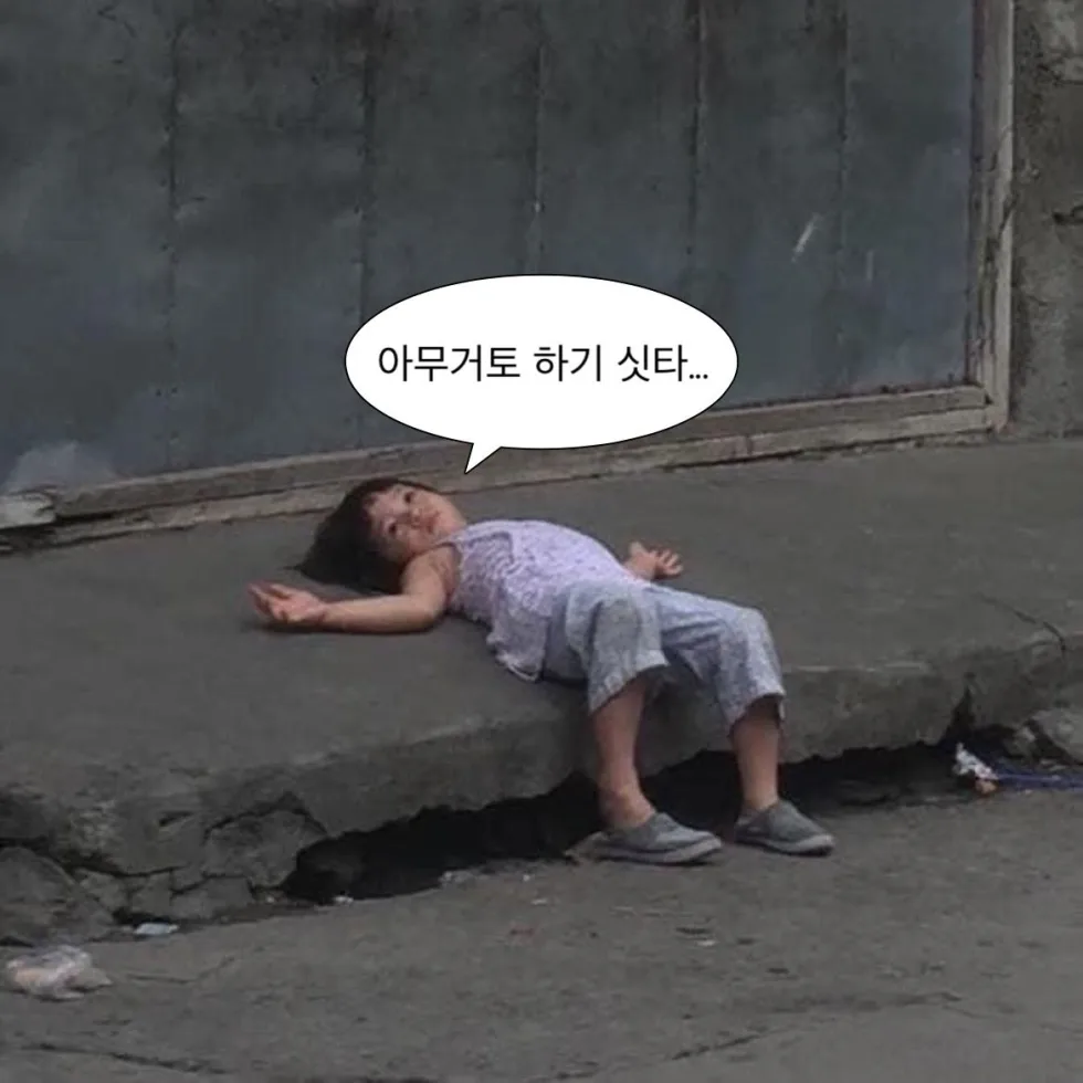 내만내짤