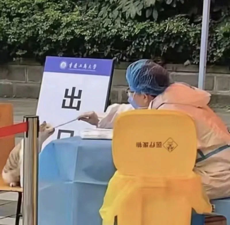 최근 인기 짤방 리스트 - 오늘의짤방