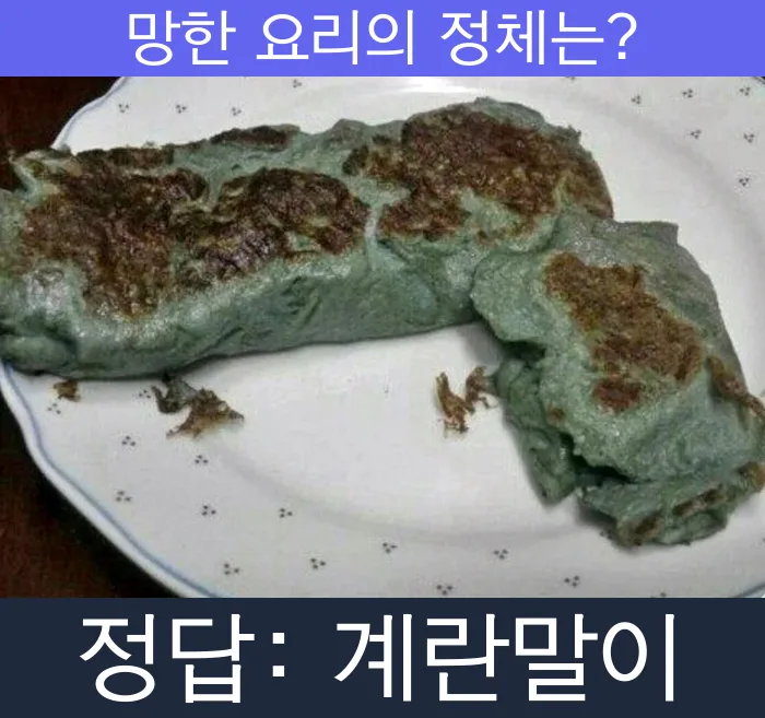 계란말이 망한요리 망한음식 실패요리 음식 요리