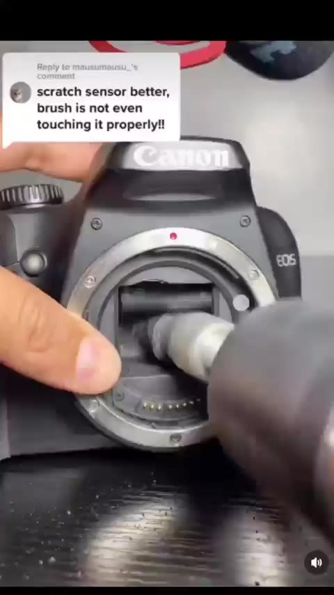 camera 카메라 캐논 센서 청소 철수세미 파괴 충격 경악 고통