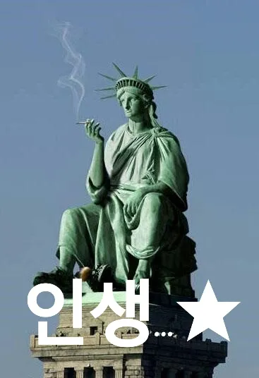 인생