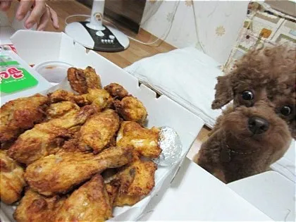 치킨