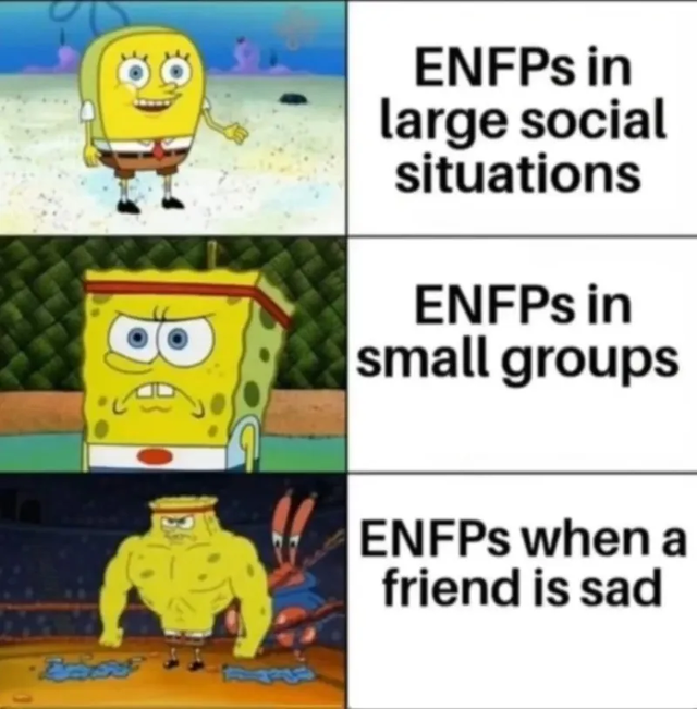 ENFP MBTI 성격 유형 취향 mbti짤 mbti짤방 mbti타입