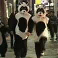 거부 히히 저리가 장난 싫어