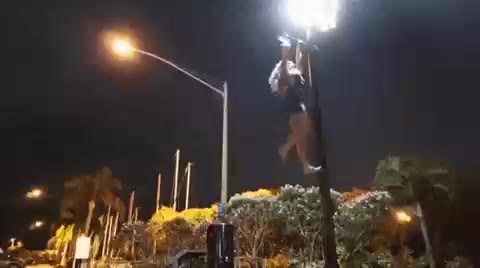 운동