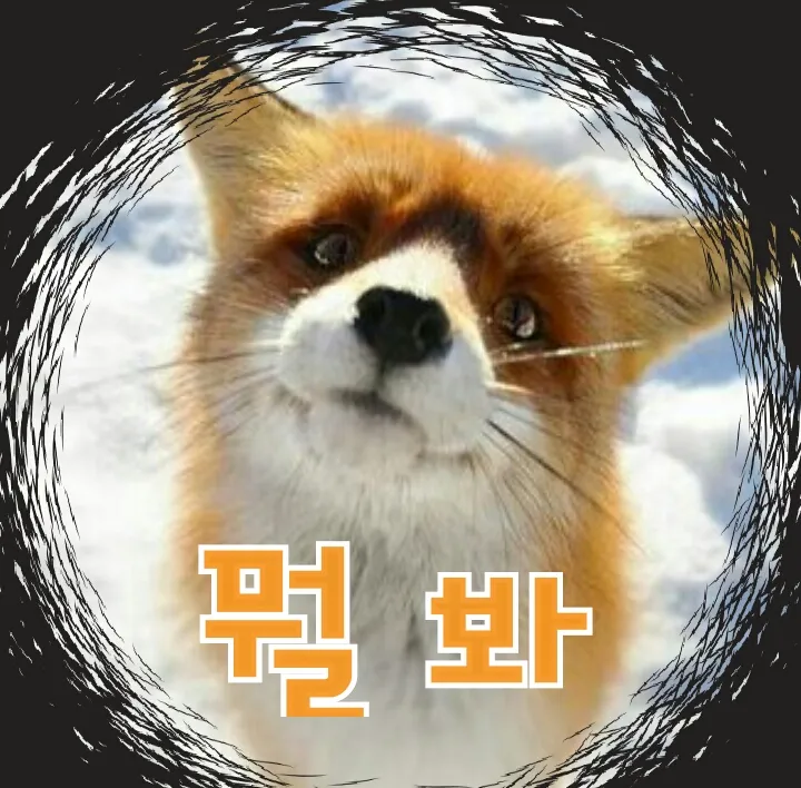 뭘봐