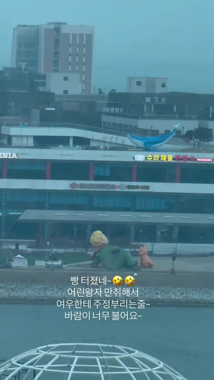 술취한 어린왕자 주사 만취 여우한테 주정부리는 왕자 바람