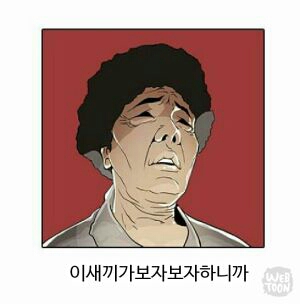 짜증 이 시끼가 화남
