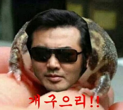 의리 개구으리